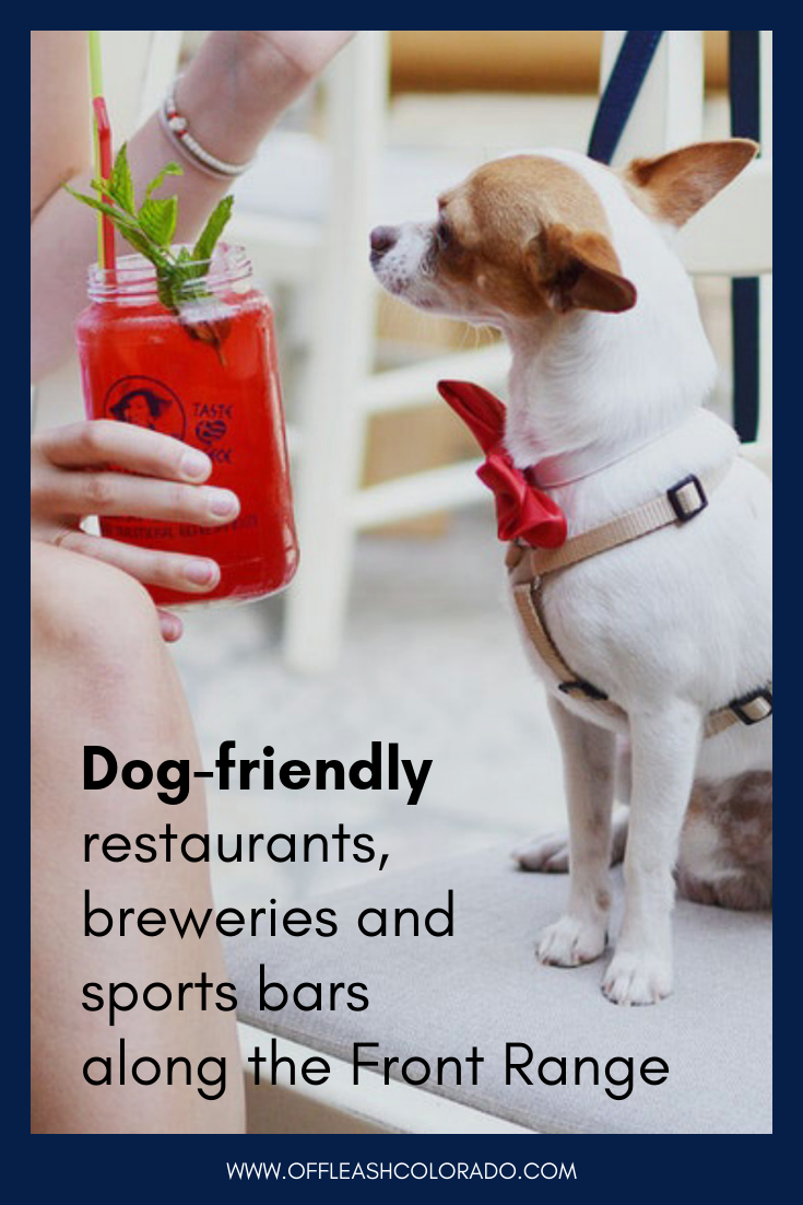 Dog-Friendly Restaurants, Breweries and Sports Bars along the Front