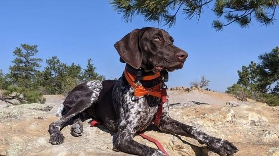 Post-Hike Pro Tips