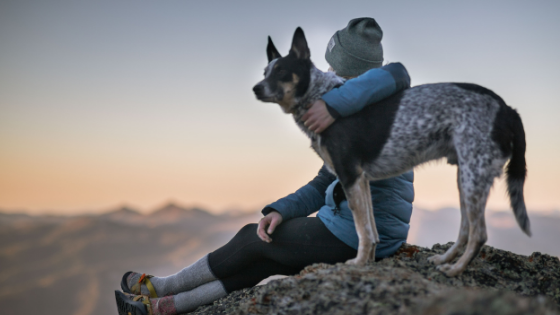 2022 Dog-Friendly Activity Calendar