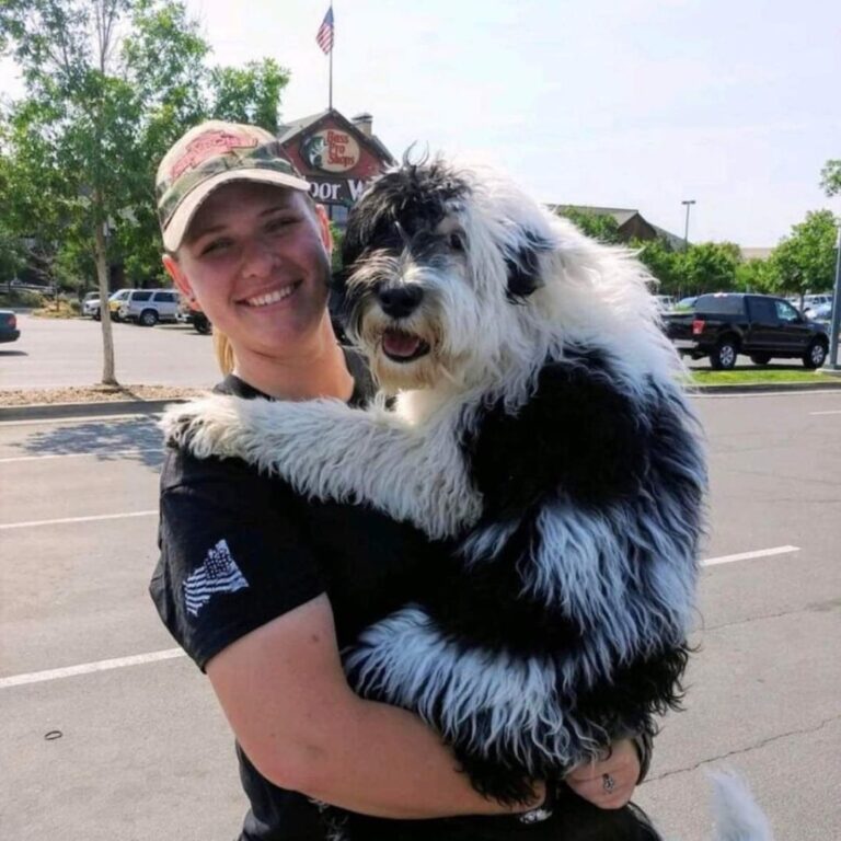 Teach your dog to hug